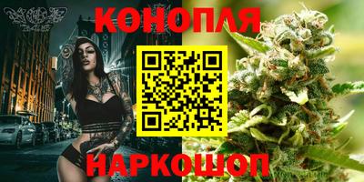 стаф Бердск